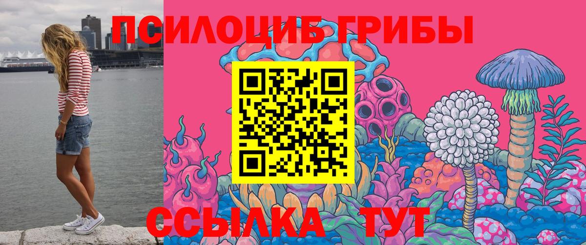 Саянск  Галлюциногенные грибы Psilocybine cubensis  Вход с VPN 